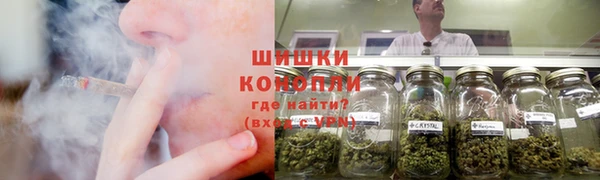 тгк Каменка