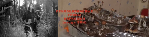 PSILOCYBIN Каменск-Шахтинский