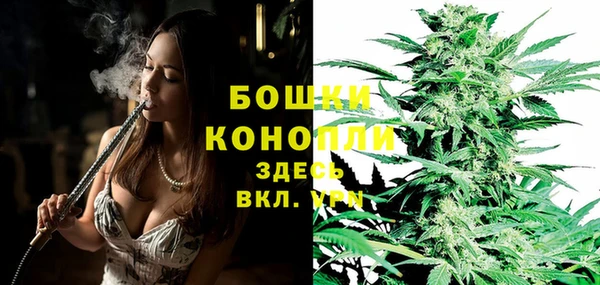 прущая мука Каменногорск
