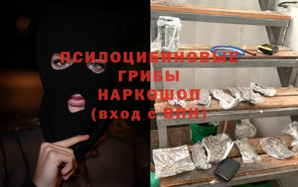 тгк Каменка