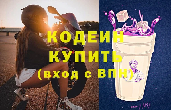 прущие грибы Касимов