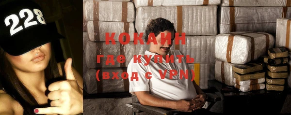 тгк Каменка