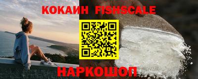 спиды Гай