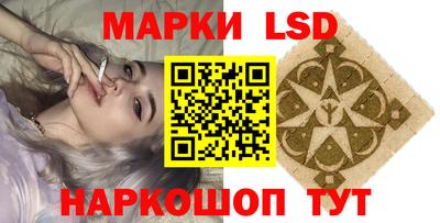 спиды Гай