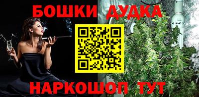 спиды Гай