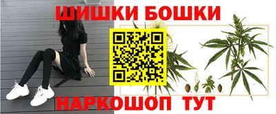 сатива Гагарин
