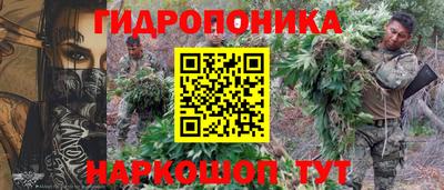 сатива Гагарин