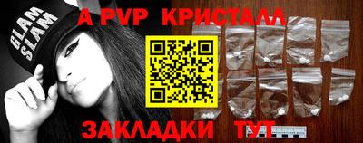 спиды Гай