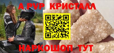 спиды Гай