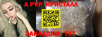 спиды Гай