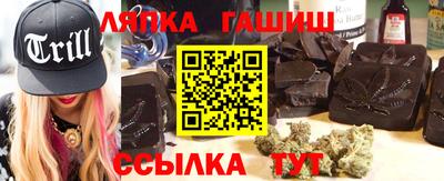 спиды Гай