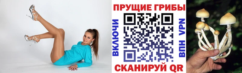 маркетплейс какой сайт  Кимовск  Псилоцибиновые грибы мицелий 