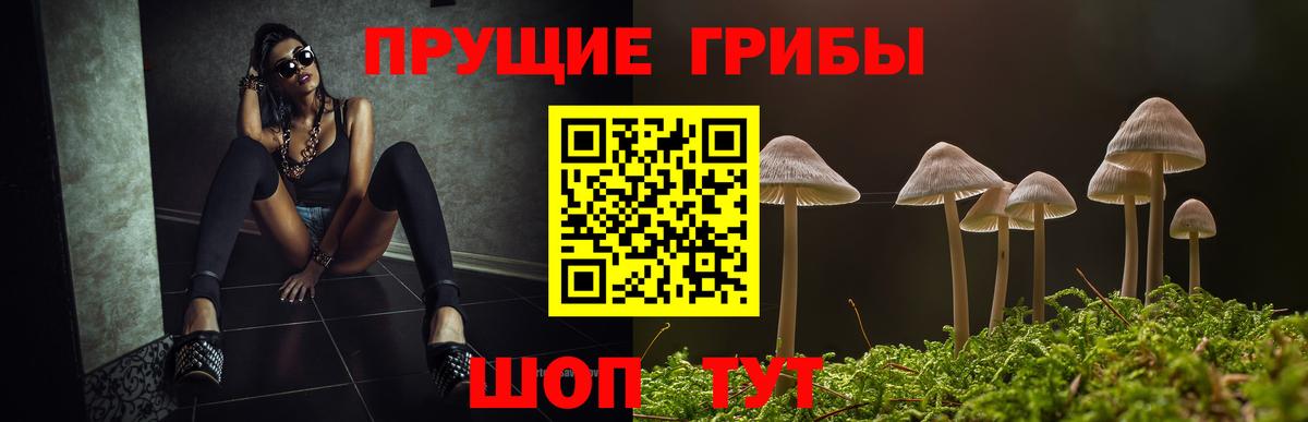 купить   Псилоцибиновые грибы ЛСД  Кимовск  Вход с VPN  Псилоцибиновые грибы MAGIC MUSHROOMS 
